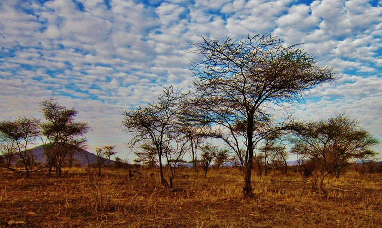 Tanzania Travel Guide 2