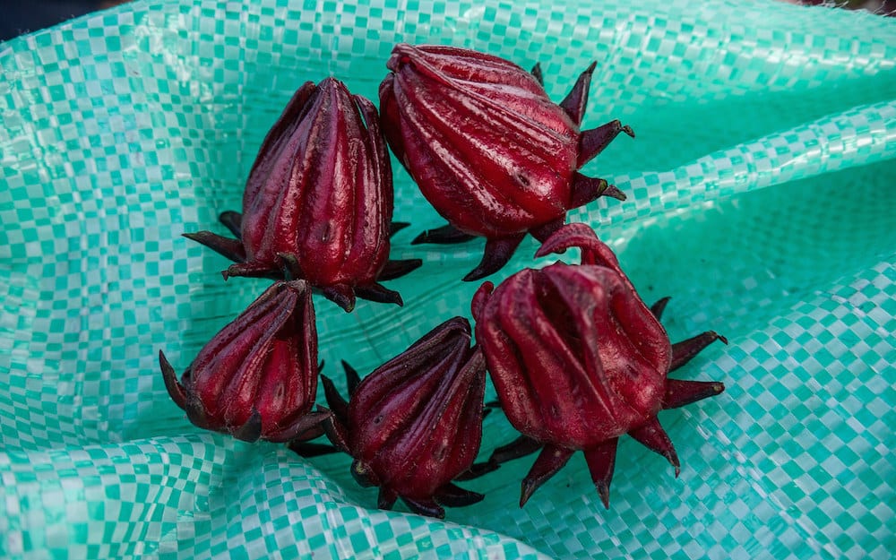 Bissap 1