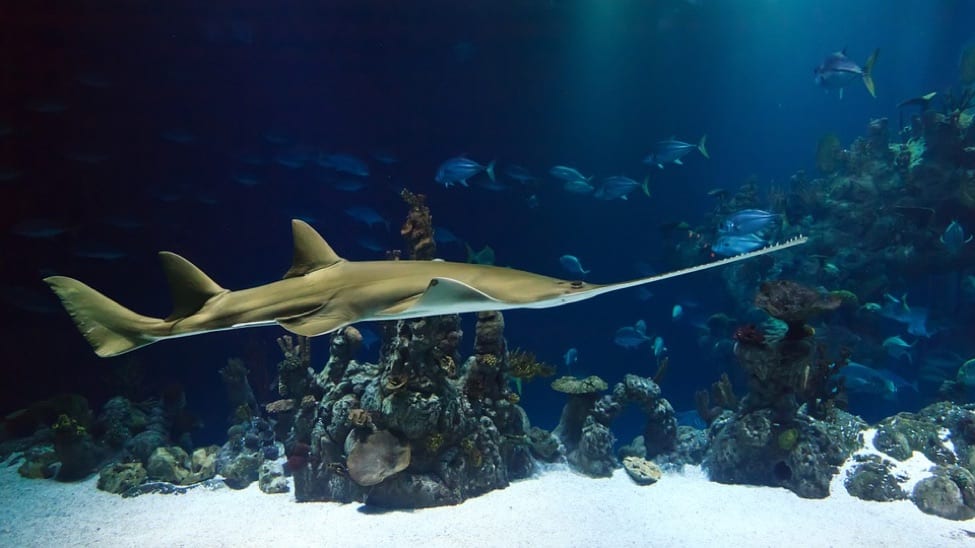Things to Do in Cape Town3