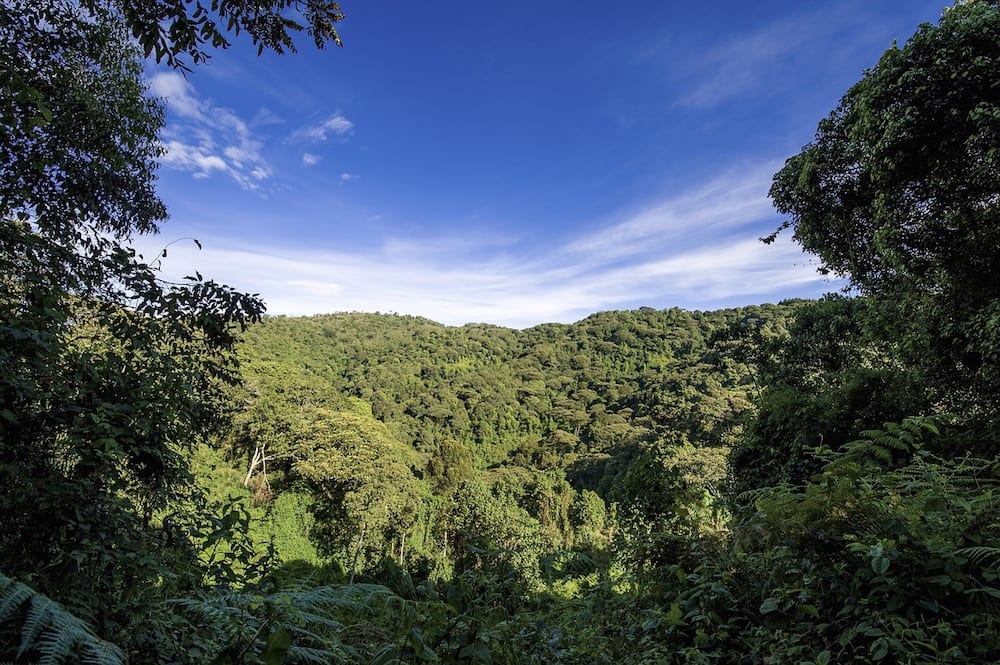 Safari Island uganda