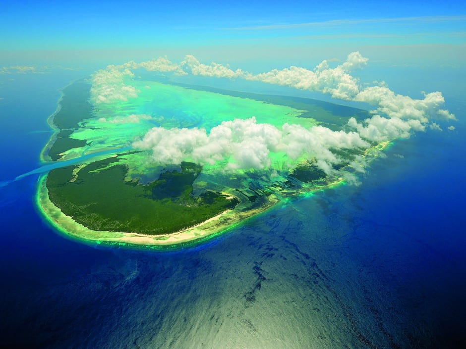 Seychelles aldabra