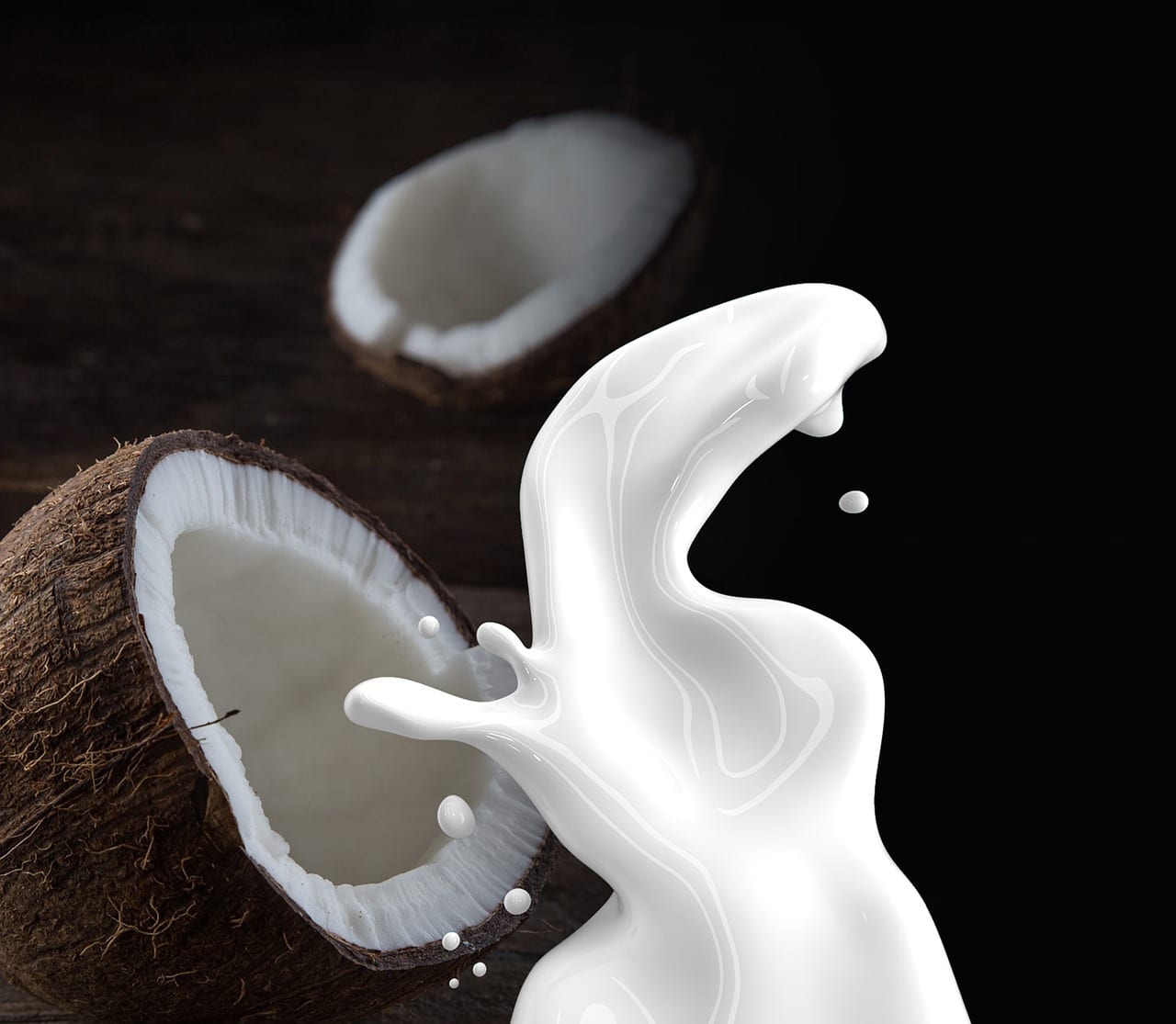 basic ingredients cocunut milk