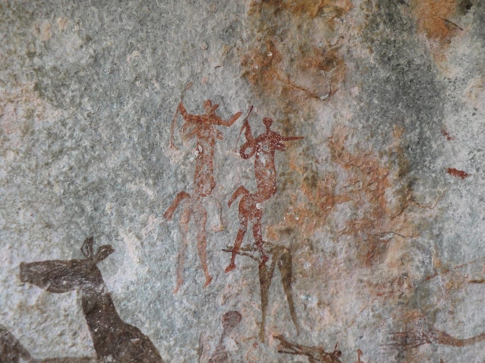 safari rock art