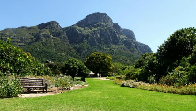 Kirstenbosch 3
