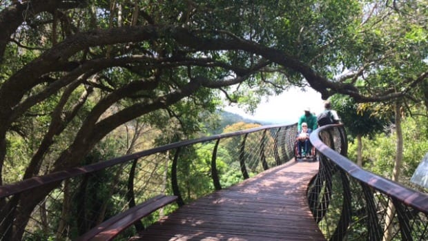 kirstenbosch 1