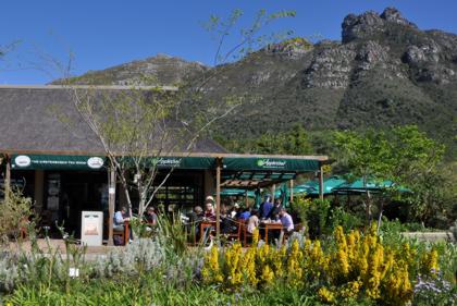 kirstenbosch 2