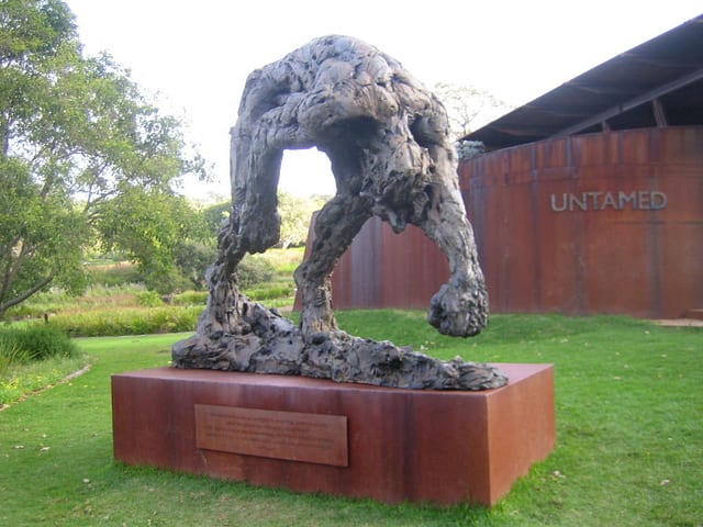 kirstenbosch 9