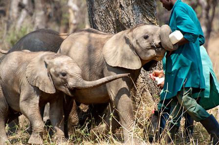 Things to Do in Lusaka 12