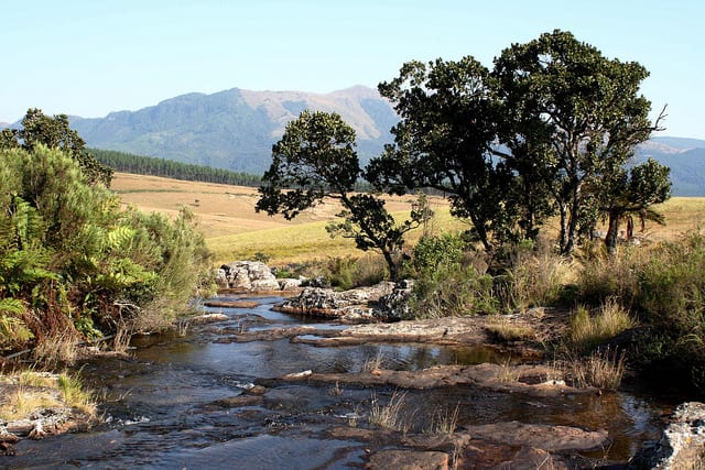 Best Braai mac mac pools