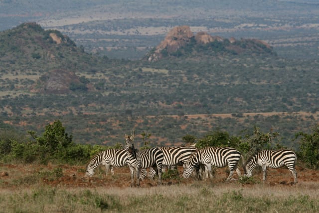 laikipia plateau