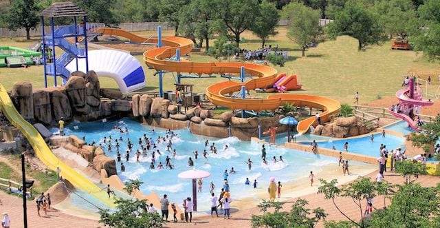 15 Things To Do In Botswana For The Whole Family Lion Park Resort in Botswana