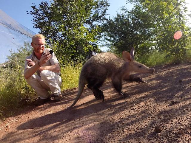 15 Things To Do In Botswana For The Whole Family caracal botswana