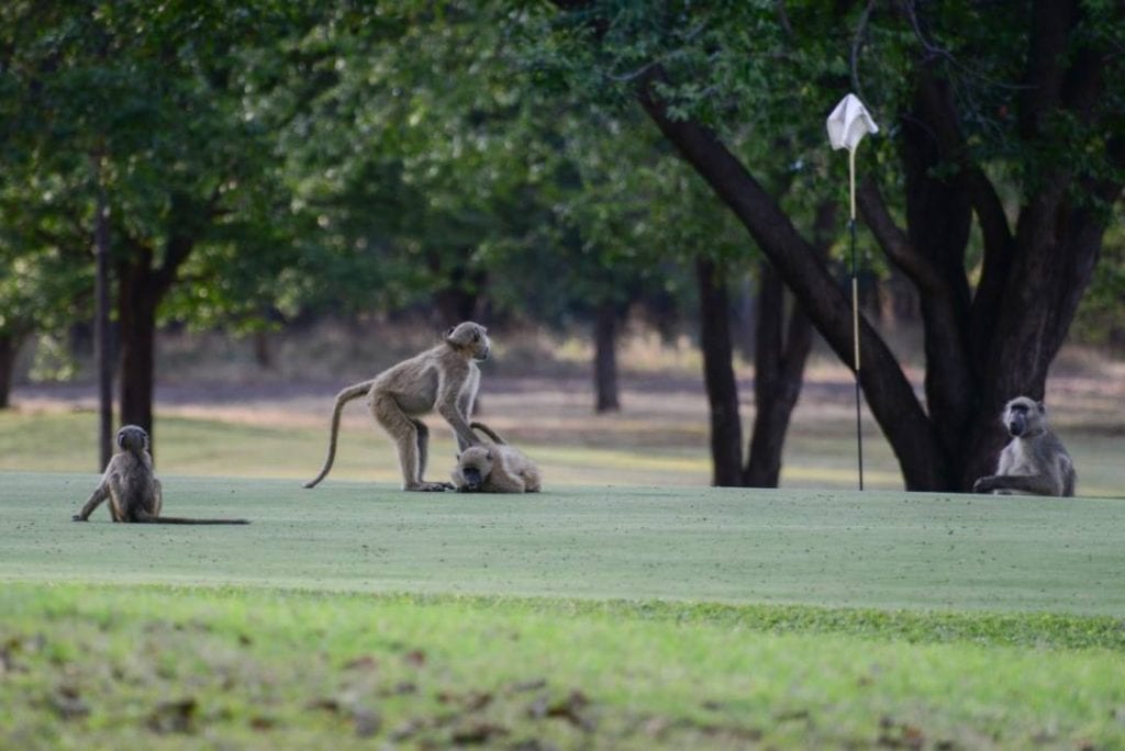 Best Golf Courses elephant hills resort 1024x684