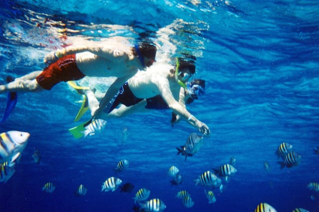 Stone Town Zanzibar Snorkel