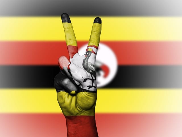 Uganda Travel Guide Flag