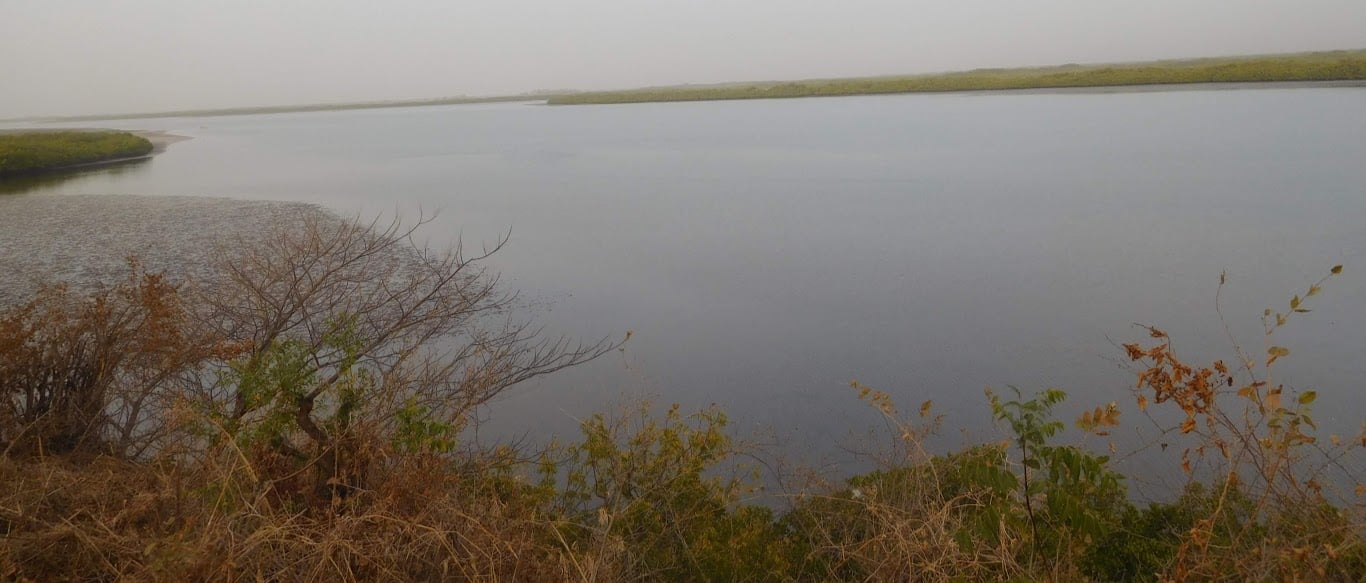 saloum