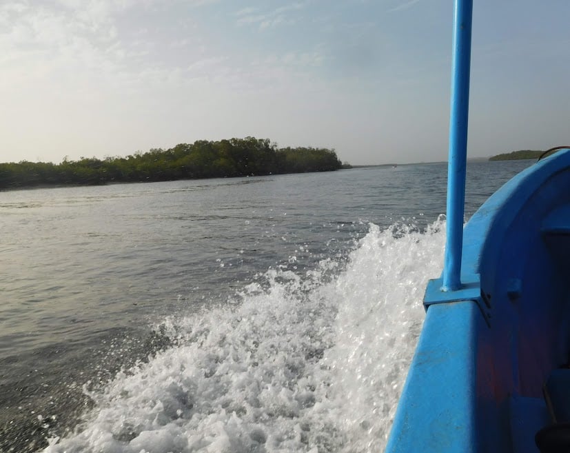 boat tour